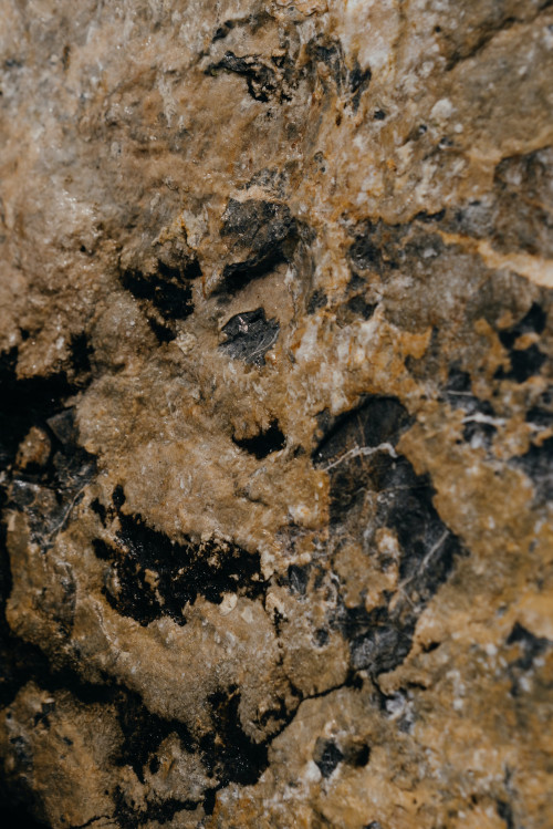 Terrà, PQ. Ecológico